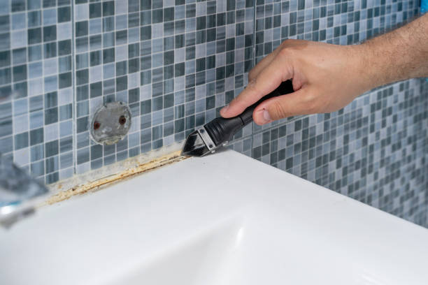 Antelope, CA Mold Removal Company